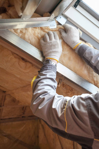 Best Commercial Insulation Contractor  in Sardis, MS