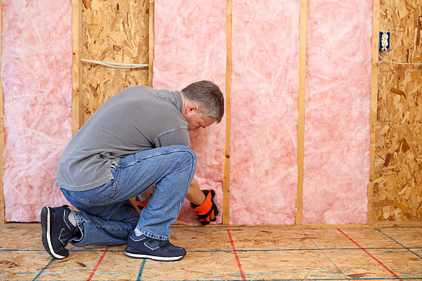 Best Insulation Replacement Services  in Sardis, MS