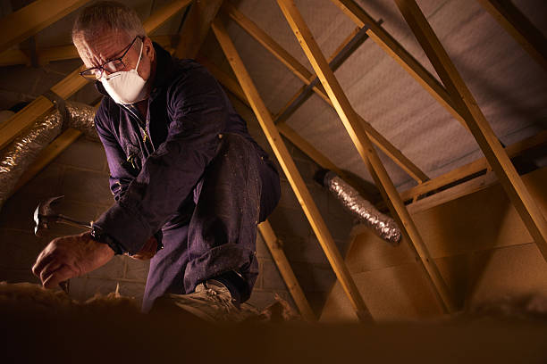 Garage Insulation Installation in Sardis, MS