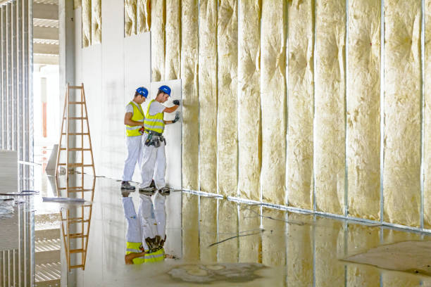 Best Commercial Insulation Contractor  in Sardis, MS